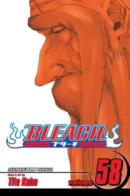Bleach, zv. 58, 58 - Bleach, Vol. 58, 58