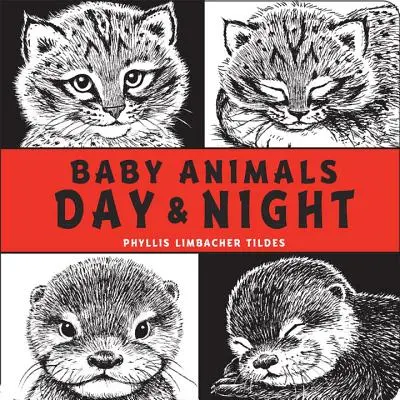Detské zvieratká Deň a noc - Baby Animals Day & Night