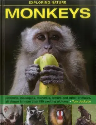 Skúmanie prírody: Opice - Exploring Nature: Monkeys