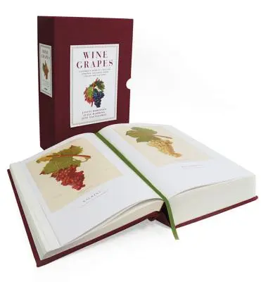 Vínne hrozno: Odrody viniča vrátane ich pôvodu a chutí - Wine Grapes: A Complete Guide to 1,368 Vine Varieties, Including Their Origins and Flavours