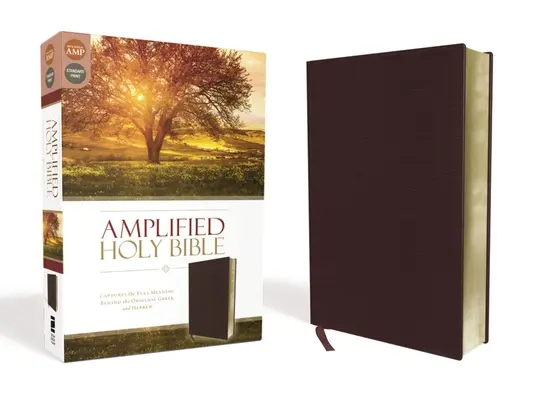Amplified Bible-Am: BIBLIA: Am Am: zachytáva plný význam pôvodnej gréčtiny a hebrejčiny - Amplified Bible-Am: Captures the Full Meaning Behind the Original Greek and Hebrew