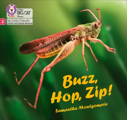 Bzuč, hop, cik! - Fáza 2 - Buzz, Hop, Zip! - Phase 2