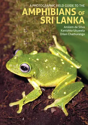 Fotografický terénny sprievodca obojživelníkmi Srí Lanky - A Photographic Field Guide to the Amphibians of Sri Lanka