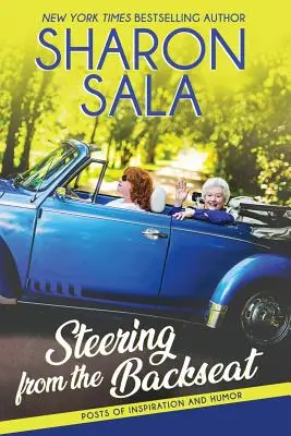 Riadenie zo zadného sedadla - Steering from the Backseat