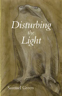 Narušenie svetla - Disturbing the Light