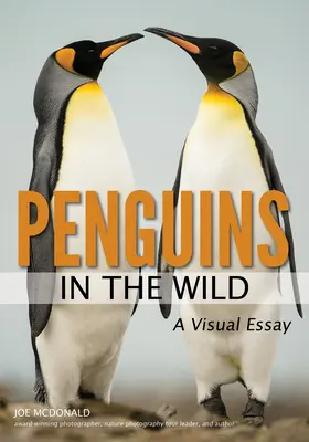Tučniaky vo voľnej prírode - Penguins in the Wild