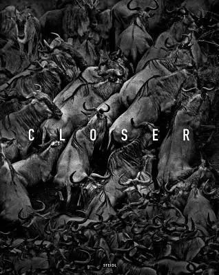 Tomasz Gudzowaty: Bližšie - Tomasz Gudzowaty: Closer