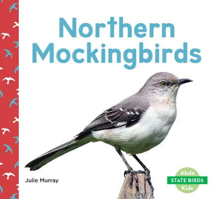 Drozdy severné - Northern Mockingbirds