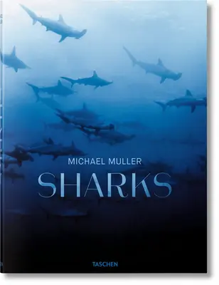 Michael Müller. Sharks - Michael Muller. Sharks