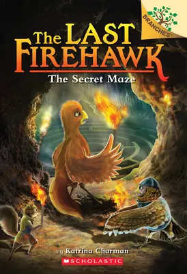 Tajné bludisko: Kniha o vetvách (Posledný jastrab ohnivák #10), 10 - The Secret Maze: A Branches Book (the Last Firehawk #10), 10