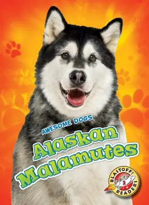 Aljašskí malamuti Aljašskí malamuti - Alaskan Malamutes Alaskan Malamutes