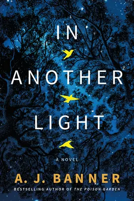 V inom svetle - In Another Light