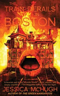 Vlak vykoľajený v Bostone - The Train Derails in Boston