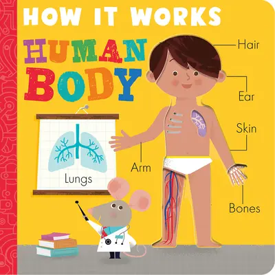Ako to funguje: Ľudské telo - How It Works: Human Body