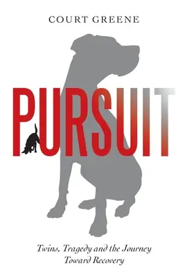 Prenasledovanie: Dvojčatá, tragédia a cesta k uzdraveniu - Pursuit: Twins, Tragedy and the Journey Toward Recovery