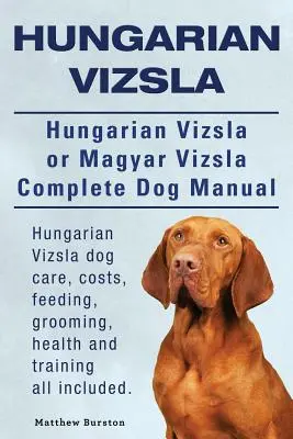 Maďarská vizsla. Maďarská vizsla alebo magyar vizsla Kompletná príručka pre psa. Starostlivosť o psa plemena maďarská vizsla, náklady, kŕmenie, starostlivosť, zdravie a výcvik všetkých - Hungarian Vizsla. Hungarian Vizsla Or Magyar Vizsla Complete Dog Manual. Hungarian Vizsla dog care, costs, feeding, grooming, health and training all