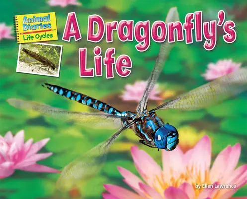 Život vážky - A Dragonfly's Life