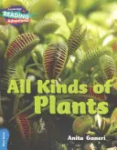 Všetky druhy rastlín Modré pásmo - All Kinds of Plants Blue Band