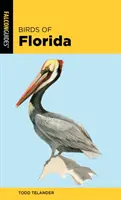 Vtáky Floridy - Birds of Florida