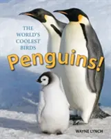 Tučniaky! Najzaujímavejšie vtáky na svete - Penguins!: The World's Coolest Birds