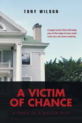 Obeť náhody: Pěšiak vo väčšej zápletke - A Victim Of Chance: A Pawn in a Bigger Plot