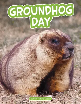 Deň svišťov - Groundhog Day