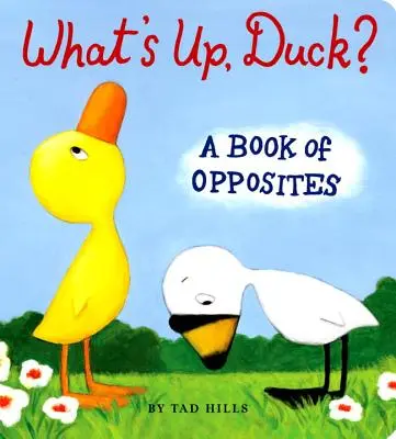 Čo sa deje, kačička?: Kniha protikladov - What's Up, Duck?: A Book of Opposites