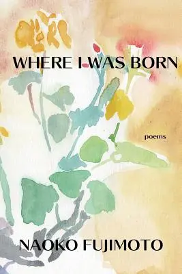 Kde som sa narodil - Where I Was Born