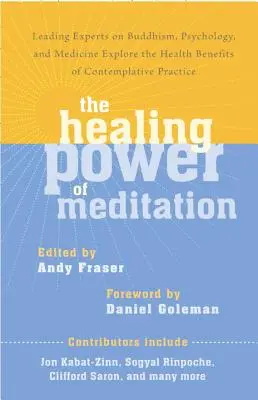 Liečivá sila meditácie: Prední odborníci na budhizmus, psychológiu a medicínu skúmajú zdravotné prínosy kontemplatívnej praxe - The Healing Power of Meditation: Leading Experts on Buddhism, Psychology, and Medicine Explore the Health Benefits of Contemplative Practice