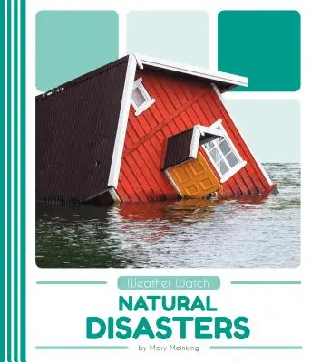 Prírodné katastrofy - Natural Disasters