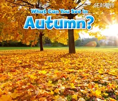 Čo môžete vidieť na jeseň? - What Can You See In Autumn?