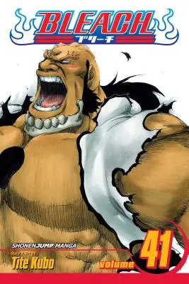 Bleach, zv. 41, 41 - Bleach, Vol. 41, 41