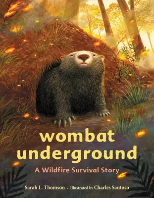 Wombat Underground: Príbeh o prežití požiaru v divočine - Wombat Underground: A Wildfire Survival Story