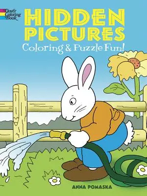 Skryté obrázky na vyfarbovanie a hádanky - Hidden Pictures Coloring and Puzzle Fun