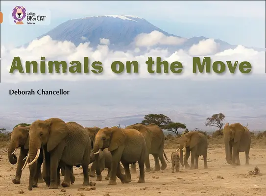 Zvieratá v pohybe - Animals on the Move