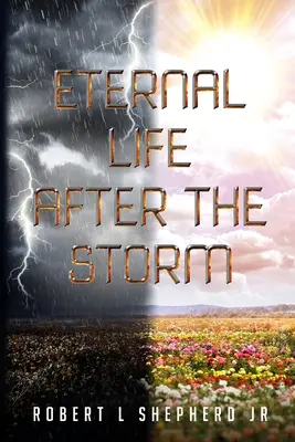 Večný život po búrke: Kniha o ceste kresťana od narodenia po večný život - Eternal Life After The Storm: A Book of a Christian's Journey from Birth to Eternal Life