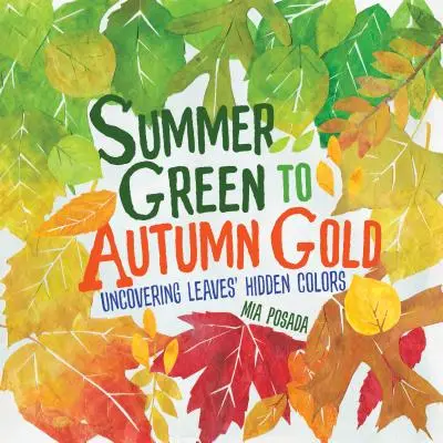 Od letnej zelenej po jesennú zlatú: Odhaľte skryté farby listov - Summer Green to Autumn Gold: Uncovering Leaves' Hidden Colors