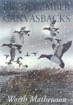 Veľké decembrové plátenníky, revidované - Big December Canvasbacks, Revised