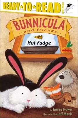 Hot Fudge, 2: Hot-To-Read Level 3 - Hot Fudge, 2: Ready-To-Read Level 3