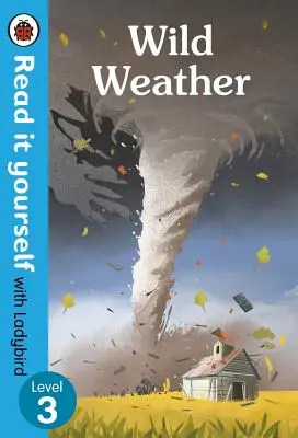 Divoké počasie: Úroveň 3 - Wild Weather: Level 3