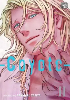 Kojot, zväzok 2, 2 - Coyote, Vol. 2, 2