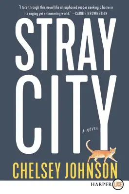 Zatúlané mesto - Stray City