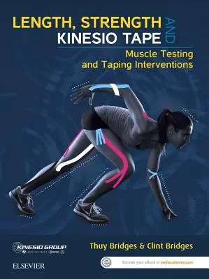 Dĺžka, sila a kinezio páska: Svalové testovanie a intervencie pomocou tejpovania - Length, Strength and Kinesio Tape: Muscle Testing and Taping Interventions