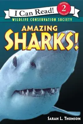 Úžasné žraloky! - Amazing Sharks!