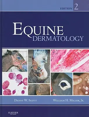 Dermatológia koní - Equine Dermatology