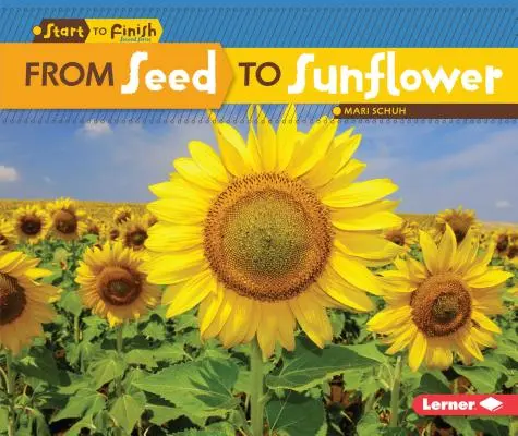 Od semienka po slnečnicu - From Seed to Sunflower