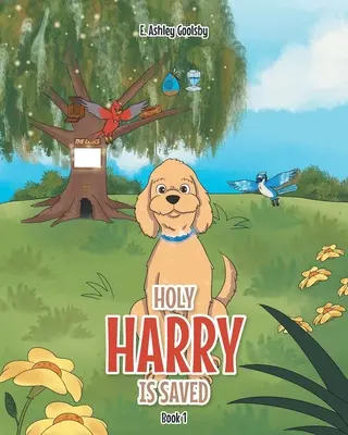 Svätý Harry je zachránený: Kniha 1 - Holy Harry Is Saved: Book 1