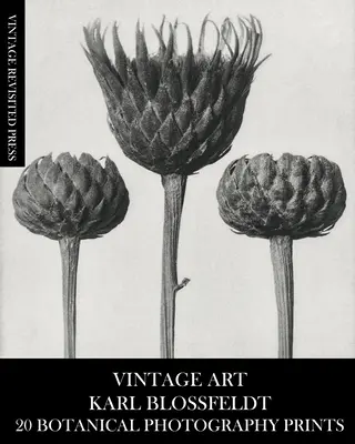 Vintage Art: Karl Blossfeldt 20 botanických fotografických odtlačkov - Vintage Art: Karl Blossfeldt 20 Botanical Photography Prints