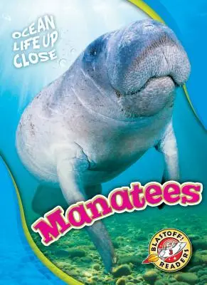 Kapustňáky - Manatees