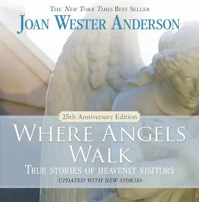 Kam kráčajú anjeli: Skutočné príbehy nebeských návštevníkov - Where Angels Walk: True Stories of Heavenly Visitors